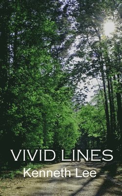 Vivid Lines 1