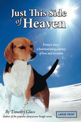 Timothy Glass - Just This Side of Heaven, Häftad