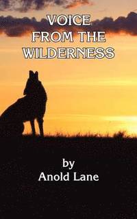 bokomslag Voice From the Wilderness