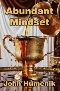 bokomslag Abundant Mindset