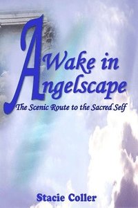 bokomslag Awake In Angelscape: The Scenic Route To The Sacred Self