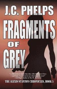 bokomslag Fragments of Grey: Book Five of the Alexis Stanton Chronicles