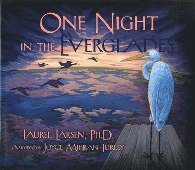 Laurel Larsen Ph.D. - One Night in the Everglades, Inbunden
