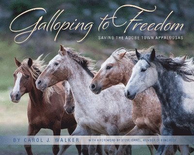 Galloping to Freedom 1