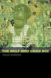 bokomslag The Wolf Who Cried Boy