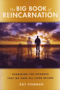 bokomslag Big Book of Reincarnation