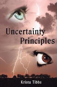 bokomslag Uncertainty Principles