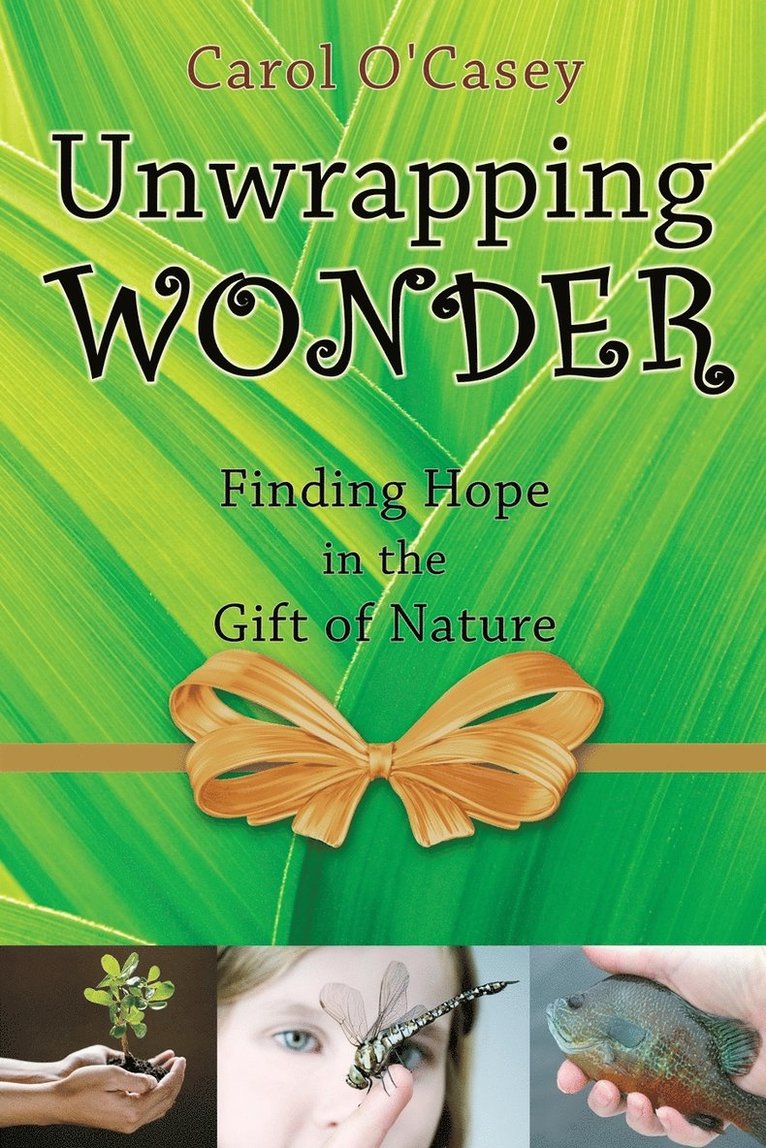 Unwrapping Wonder 1