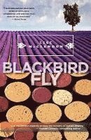 bokomslag Blackbird Fly