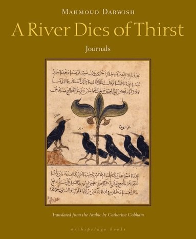 Mahmoud Darwish - River Dies of Thirst, Häftad