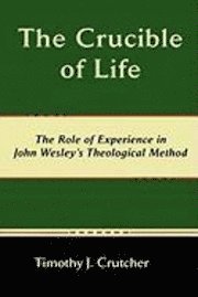 bokomslag Crucible of Life, The Role of Experience in John Wesley's Theological Method
