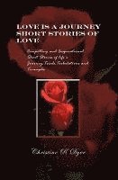 Christine R. Dyer, Christine R Dyer - Love Is A Journey, Häftad