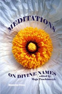 bokomslag Meditations on Divine Names