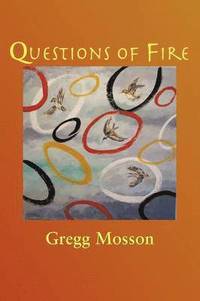 bokomslag Questions Of Fire
