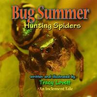 bokomslag Bug Summer--Hunting Spiders