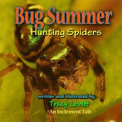 Bug Summer--Hunting Spiders 1