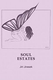 bokomslag Soul Estates: Poems by Jiri Jirasek