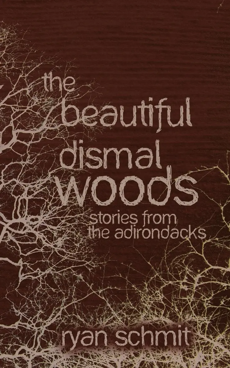 Ryan Schmit - Beautiful Dismal Woods, Häftad. Tillgänglighet: Lägg i varukorg