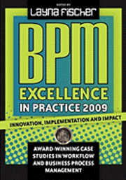 bokomslag BPM Excellence in Practice 2009: Innovation, Implementation and Impact Award-winning Case Studies in Workflow and Business Process Management