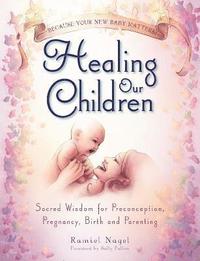 bokomslag Healing Our Children