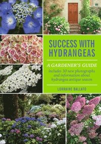 bokomslag Success With Hydrangeas