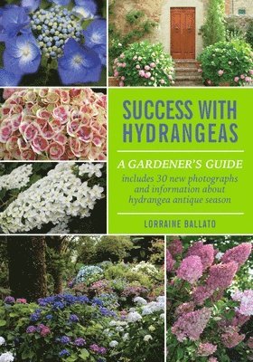 bokomslag Success With Hydrangeas