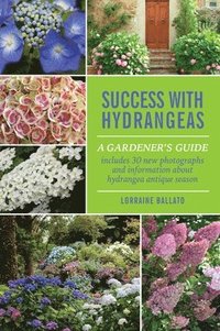 bokomslag Success With Hydrangeas