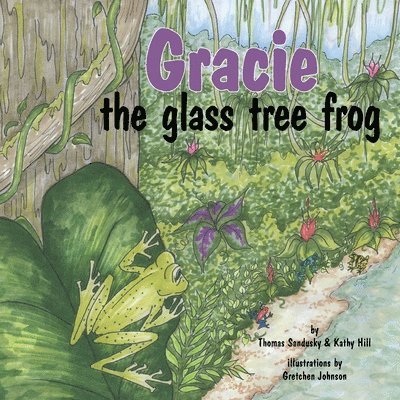 Gracie, the Glass Tree Frog 1