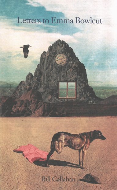 Bill Callahan - Letters to Emma Bowlcut, Häftad
