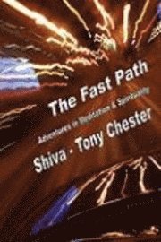bokomslag The Fast Path - Adventures in Meditation & Spirituality