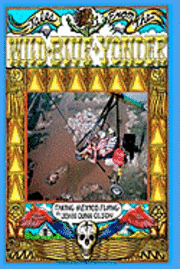 Tales From The Wild Blue Yonder *TAKING MEXICO FLYING*