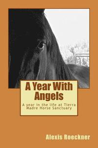 bokomslag A Year With Angels: A year in the life at Tierra Madre Horse Sanctuary