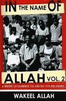 bokomslag In the Name of Allah Vol. 2: A History of Clarence 13x and the Five Percenters