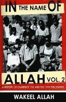 Wakeel Allah - In the Name of Allah Vol. 2: A History of Clarence 13x and the Five Percenters, Häftad