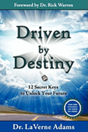 bokomslag Driven By Destiny: 12 Secrets to Unlock Your Future