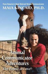 bokomslag Animal Communicator Adventures