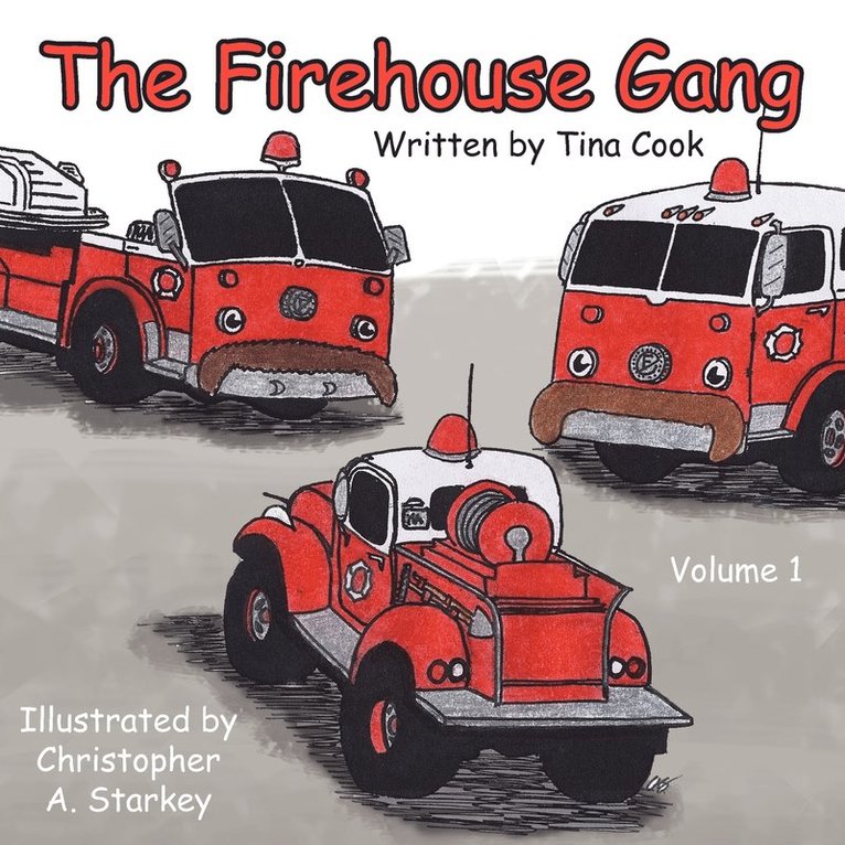 Tina Cook - Firehouse Gang, Häftad