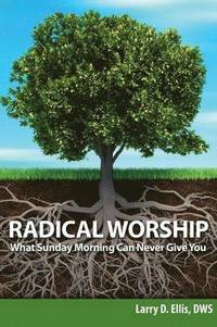 bokomslag Radical Worship