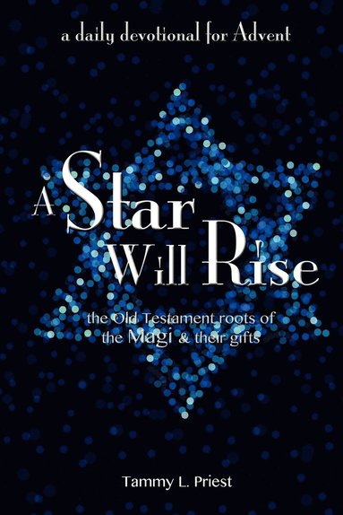 bokomslag Star Will Rise