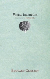 bokomslag Poetic Intention