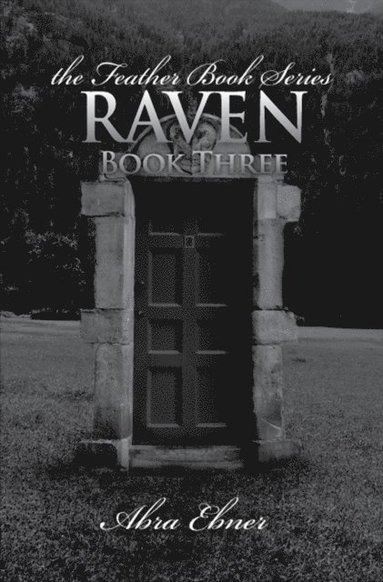 bokomslag Raven: Book Three: Feather Book Series