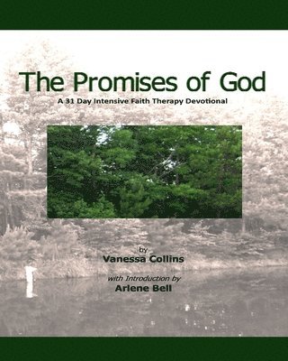 bokomslag The Promises of God: A 31 Day Intensive Faith Therapy Devotional
