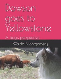 bokomslag Dawson goes to Yellowstone