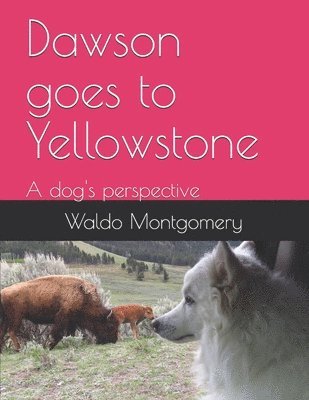 Dawson goes to Yellowstone 1