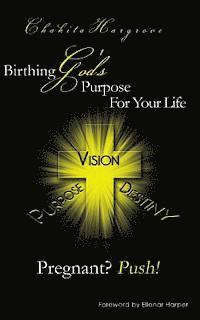 bokomslag Pregnant? Push!: Birthing God's Purpose For Your Life