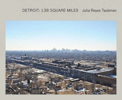 Julia Reyes Taubman: Detroit 1