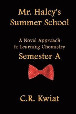 bokomslag Mr. Haley's Summer School