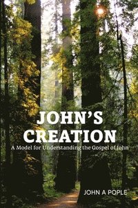 bokomslag John's Creation