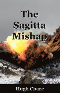 bokomslag The Sagitta Mishap