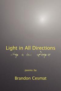 bokomslag Light in All Directions